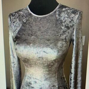 Petersyn Silver Velvet Maxi Dress